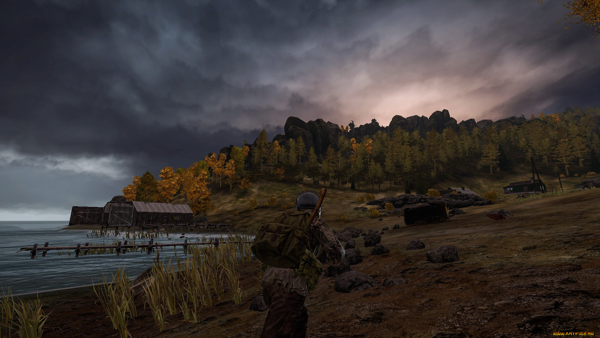 arma 2,  dayz mod,  , dayz standalone, 